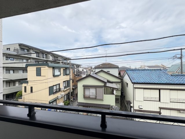 藤マンション大洲の展望