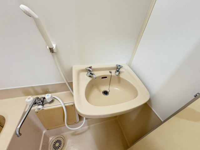 藤マンション大洲の洗面所