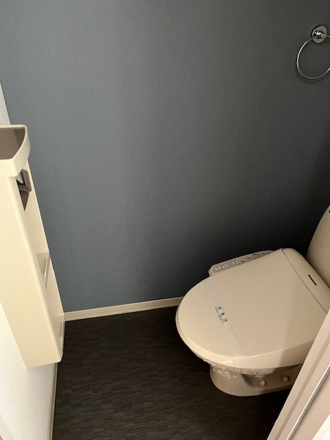 COTHAX浜Ⅱのトイレ