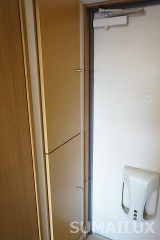 熊本市中央区新大江３丁目の賃貸マンションの玄関