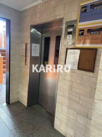 シャトーレイクルイーズのその他共用部分