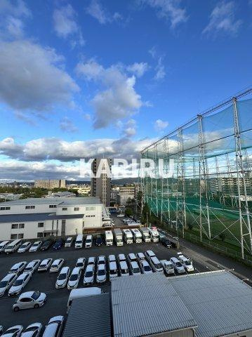 シャトーレイクルイーズの展望