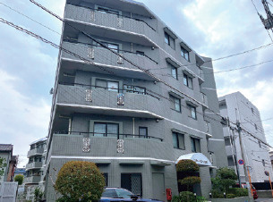 エヴァーグリーン立石