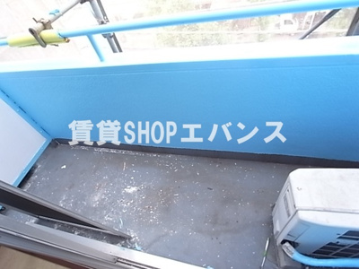 【展望】 | セザール大久保