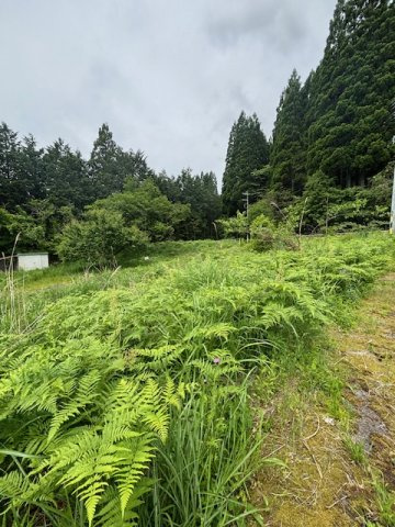中津川市田瀬　売土地の画像