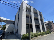 マーベラス　トレジャーの画像