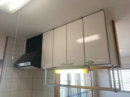 シャトルしょうりゅうのその他|※反転タイプとなります