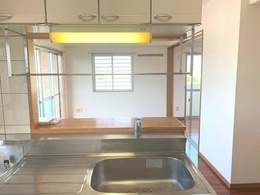 シャトルしょうりゅうのその他|※反転タイプとなります