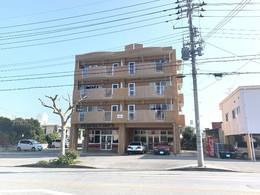 シャトルしょうりゅうの外観