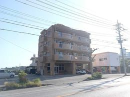 シャトルしょうりゅうの外観