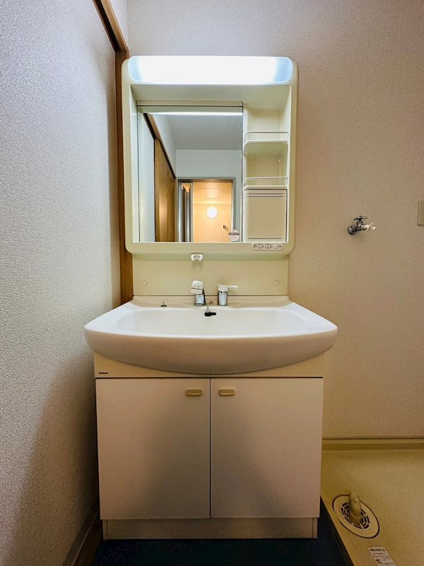 アサヒ駅前ビルの独立洗面台