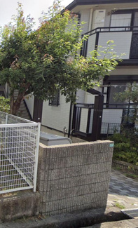 【ロビー】 | パセオ・グリーンヒルズ