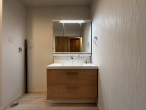 【独立洗面台】 | 2026年2月6日撮影