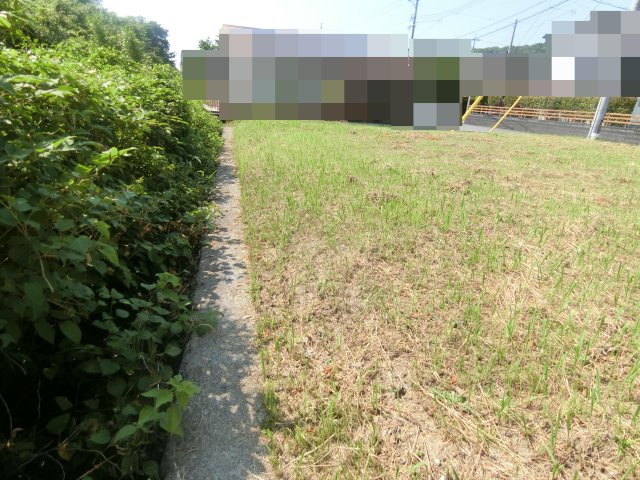 西伯郡伯耆町吉定売土地の周辺
