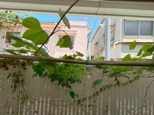 シエテ淡路の展望