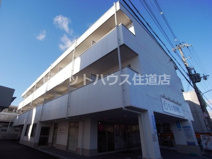 シェリーヌYGの画像