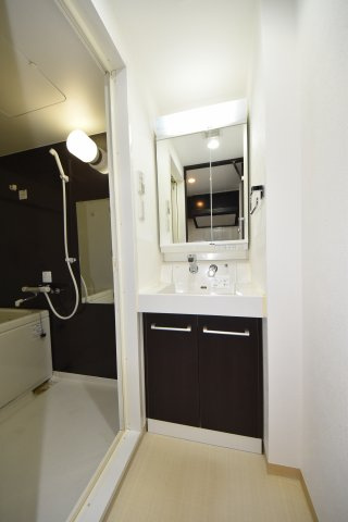 エスライズ難波EASTの洗面所