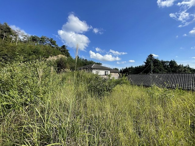 大久町大久字板木沢　自然豊か　海竜の里公園近く　高台　★　売地のその他|敷地内部から南東方向