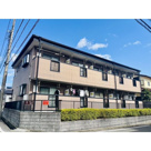 グレイスの画像