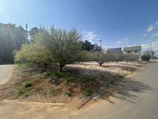 【外観】 | 【JINSEI】～JNセレクトタウンみどりの中央～第1期　建築条件なしの分譲地