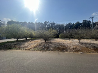 【外観】 | 【JINSEI】～JNセレクトタウンみどりの中央～第1期　建築条件なしの分譲地