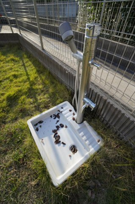 【その他共用部分】 | フルーレット