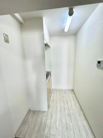 サングレートESAKAⅡのその他