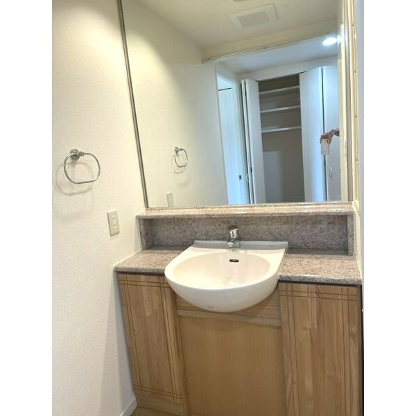 サンロワール江坂の洗面所