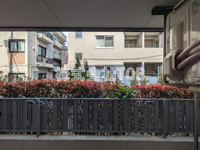 【展望】 | アニスティ