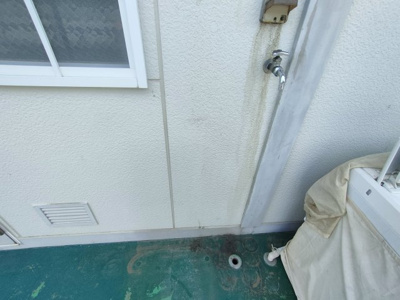  | スカイハイム