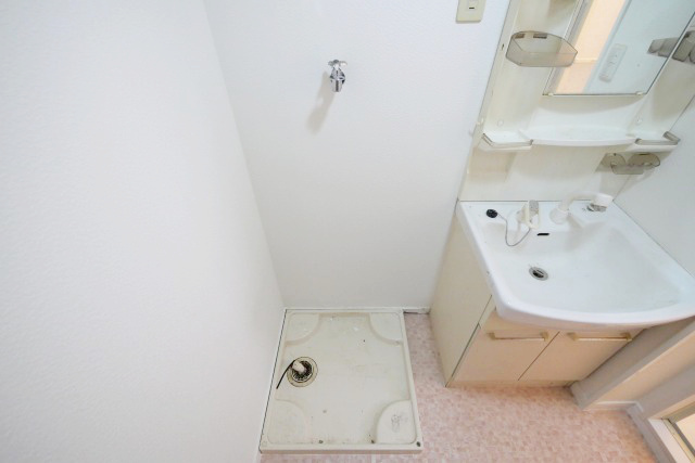 黒坂壱番館の洗面所