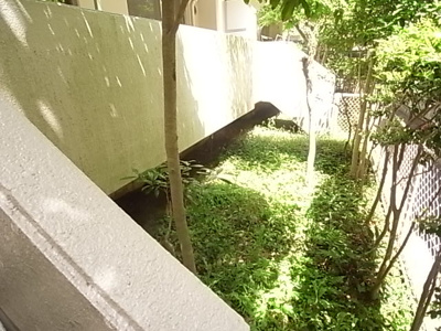 【庭】 | ＬＥＯ拾八番館 | お庭が付いています