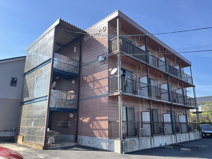 サンティーヌ・Gの画像