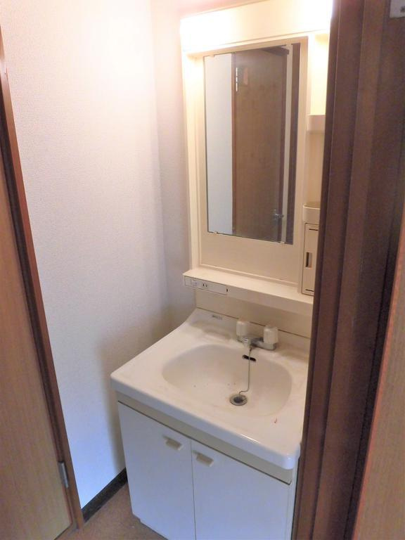 メゾンサワの洗面所