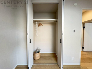 衣類やアクセサリー、小物類の収納が便利で整理整頓がしやすく、部屋の美観を保ちつつ、スペースを最大限に活用できます。衣服のしわやダメージを防ぎ、長持ちさせることができます。