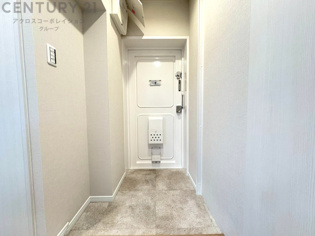 大きな玄関収納付きの玄関です　家族皆様の履物をしっかり収納できます