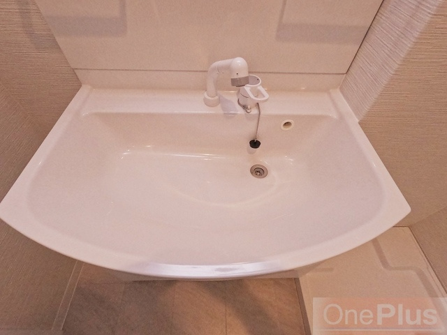 マンション向洋の洗面所