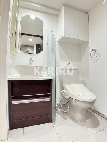 アーデン堺筋本町の洗面所