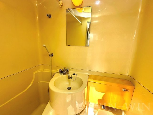 東小鷹野メゾンの洗面所