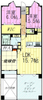 【間取り】 | ヴェレーナ津田沼 | ヴェレーナ津田沼　5階　閑静な住宅街にたたずむマンション