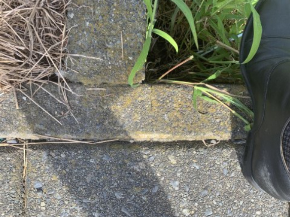 売土地　静岡市駿河区西島の周辺