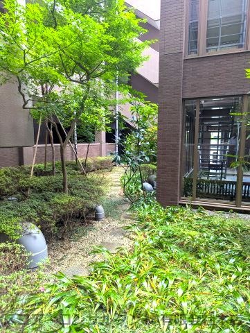 レクセルマンション茅ヶ崎の中庭