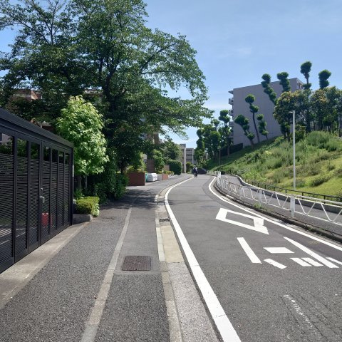 磯子汐見台ヒルズの周辺|前面の道路です。緑が多く車通りもそれほど多くありません。