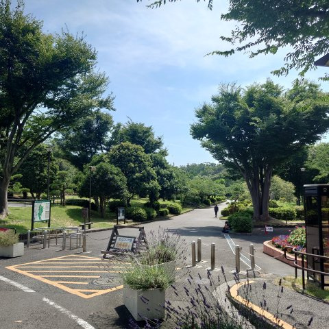 磯子汐見台ヒルズの周辺|久良岐公園近くにあります。