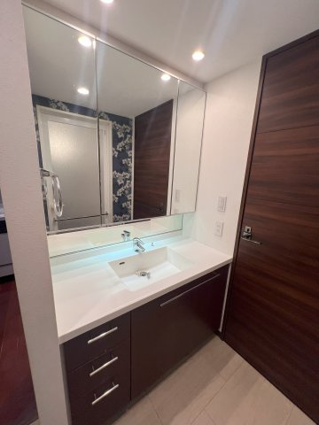 ザ・タワー&パークス田園都市溝の口の独立洗面台