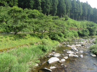 【周辺】 | 鮎やアマゴ釣りが楽しめる