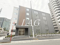 フィレ・デ・フルールの画像