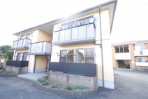 サンフローラ **の画像