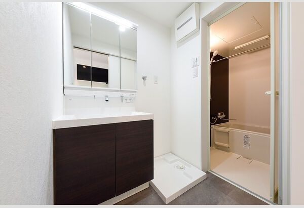 Warren higashiharuta Ⅰの洗面所