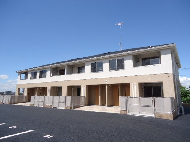 コモド　ピノⅡ